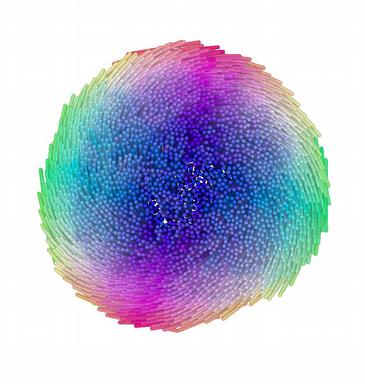 Twisted membrane of chiral rod-like particles